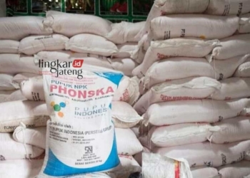 MENUMPUK: Stok pupuk subsidi di distributor. (Setyo Nugroho/Lingkarjateng.id)
