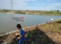Bendungan Keruk Blora Tak Banyak Dimanfaatkan Petani, Ada Apa? 28 POTRET: Bendungan Keruk di Dukuh Keruk, Kelurahan/Kecamatan Randublatung, Kabupaten Blora yang lebih sering dimanfaatkan untuk mancing. (Hanafi/Lingkarjateng.id)