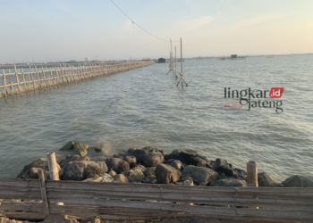 HAMPARAN ROB: Genangan air telah memusnahkan Dukuh Mondoliko, Desa Bedono, Kecamatan Sayung, Kabupaten Demak, karena debit airnya dari tahun ke tahun semakin tinggi. (M Burhanuddin Aslam/Lingkarjateng.id)