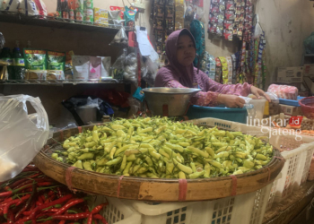 POTRET: Salah satu pedagang cabai di Pasar Bintoro Demak. (M Burhanuddin Aslam/Lingkarjateng.id)