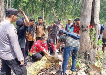 EVAKUASI: Tim kepolisian mengevakuasi pria di Blora yang ditemukan tewas di kawasan hutan jati BKPH Jati Kusumo turut Kecamatan Randublatung, Kabupaten Blora pada Selasa, 25 Juli 2023. (Istimewa/Lingkarjateng.id)