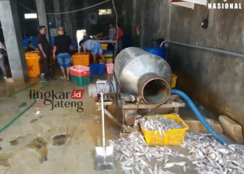 INDUSTRI RUMAHAN: Kondisi gudang filet ikan di Desa Banyutowo, Kecamatan Dukuhseti, Kabupaten Pati. (Dok. Lingkar TV/Lingkarjateng.id)