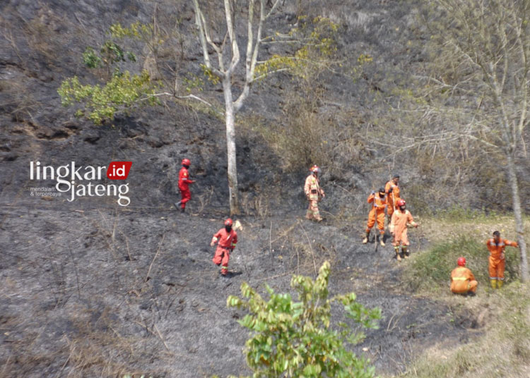 POTRTET: Kebakaran lahan di Kecamatan Bringin, Kabupaten Semarang pada Rabu siang, 23 Agustus 2023 yang berhasil dipadamkan Poldam Kabupaten Semarang. (Hesty Imaniar/Lingkarjateng.id)