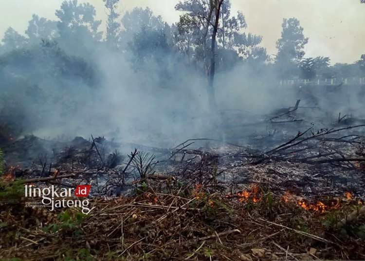 Jumlah Kasus Karhutla di Kendal Turun Dibanding Tahun 2022