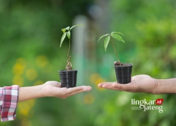TANAM POHON: Dua orang menanam pohon dalam pot untuk mengurangi polusi udara. (Freepik @jcomp/Lingkarjateng.id)