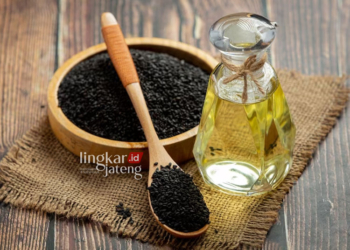 Ilustrasi Habbatussauda. (Freepik/Lingkarjateng.id)