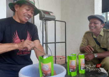 Produksi Kopi Wulung di Desa Pledokan, Kecamatan Sumowono, Kabupaten Semarang. (Hesty Imaniar/Lingkarjateng.id)