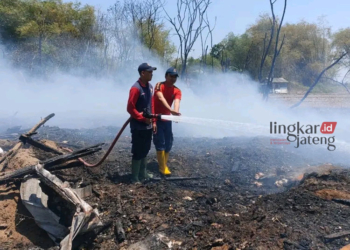 KERJA KERAS: Personil Damkar Pati saat melakukan pendinginan pasca kebakaran kandang ayam di Desa Bungasrejo, Kecamatan Jakenan pada Selasa, 26 September 2023. (Humas Damkar/Lingkarjateng.id)
