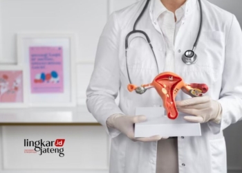 ILUSTRASI: Seorang dokter menunjukkan alat peraga anatomi organ reproduksi wanita. (Freepik/Lingkarjateng.id)