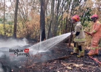 BERJIBAKU: Petugas Damkar dari Dinas Satpol PP dan Damkar Kabupaten Semarang berjibaku memadamkan api. (Dok. Satpol PP dan Damkar Kabupaten Semarang for Lingkar/Lingkarjateng.id)