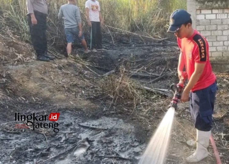 Akibat Bakar Sampah, Gudang Rosok dan Lahan di Pati Alami Kebakaran 25 PENDINGINAN: Damkar Pati saat memadamkan api yang menghanguskan gudang Rosok di Desa Sinoman, Kecamatan Pati, Kabupaten Pati. (Damkar Pati for Lingkar/Lingkarjateng.id)