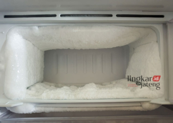 Ilustrasi bunga es. (Canva/Lingkarjateng.id)