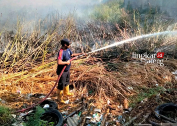 MEMADAMKAN: Personil Damkar Pati saat berjibaku menjinakkan si jago merah yang membakar lahan terbuka di Desa Mintomulyo Kecamatan Juwana pada Sabtu malam, 2 Agustus 2023. (Dok, Damkar Pati/Lingkarjateng.id)