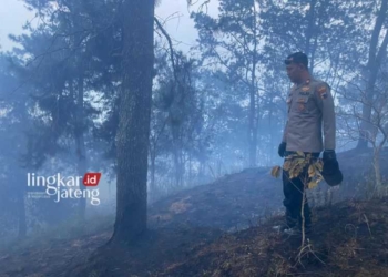 Polsek Getasan cek lokasi lahan hutan yang terbakar di Lereng Gunung Merbabu. (Hesty Imaniar/Lingkarjateng.id)