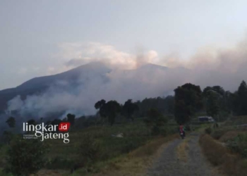 POTRET: Gunung Merbabu yang terbakar sejak Jumat, 27 Oktober 2023 sampai saat ini Sabtu, 28 Oktober 2023 sudah mencapai luasan total 400 hektare. (Hesty Imaniar/Lingkarjateng.id)