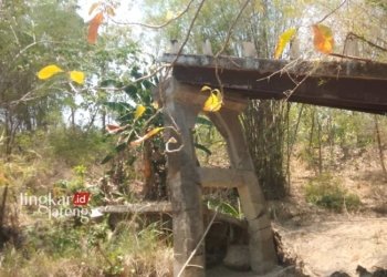 DPUPR Grobogan Sebut Perbaikan Jembatan Ambruk Jadi Wewenang Desa 26 AMBRUK: Kondisi jembatan penghubung Desa Karangsono dan Desa Suru di Kabupaten Grobogoan sudah tujuh tahun rusak. (Istimewa/Lingkarjateng.id)