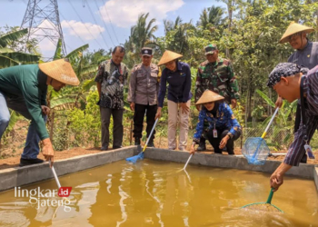 BAHAGIA: Pengurus Deswita Lerep bersama dengan anggota PLN sedang mencoba menangkap lele di kolam ikan lele yang merupakan fasilitas baru dari program CSR PLN Peduli, deswita berlokasi di Desa Lerep, Kecamatan Ungaran Barat, Kabupaten Semarang pada Selasa, 17 Oktober 2023. (Hesty Imaniar/Lingkarjateng.id)