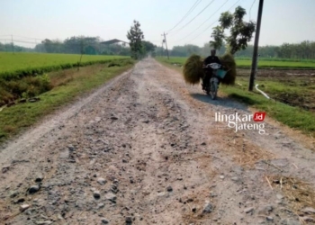RUSAK: Sepanjang 6 Km Jalan Sumber-Gondel, Kecamatan Randublatung, Kabupaten Blora tampak rusak parah. (Hanafi/Lingkarjateng.id)