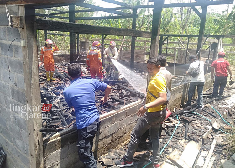 PEMADAMAN: Para petugas gabungan dari Damkar, Dinas Satpol PP dan Damkar (Poldam) Kabupaten Semarang, jajaran kepolisian Polsek Bringin, dibantu dengan warga bersama-sama memadamkan api di rumah salah satu warga Dusun Kandangan, Desa Rembes, Kecamatan Bringin, Kabupaten Semarang yang terbakar pada Jumat, 20 Oktober 2023 sekitar jam 10.30 WIB. (Hesty Imaniar/Lingkarjateng.id)