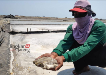 MEMPRIHATINKAN: Raswi memperlihatkan hasil garam yang gagal mengkristal dan berwarna kehitaman di lahan tambak garam terpal miliknya di Rembang, baru-baru ini. (R.Teguh Wibowo/ Lingkarjateng.id)