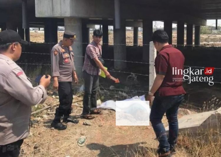 Pria ODGJ Ditemukan Tewas di Bawah Tol Sayung Demak 25 Proses evakuasi mayat laki-laki yang ditemukan di bawah jalan tol Sayung tepatnya di Desa Sidogemah Kecamatan Sayung Demak, Selasa, 31 Oktober 2023.(M. Burhanuddin Aslam/Lingkarjateng.id)