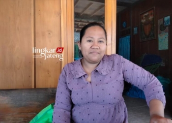 Salah satu petani khusus di Dukuh Kaliwader, Desa Ngliron, Kecamatan Randublatung, Kabupaten Blora, Nur Hayafit. (Hanafi/Lingkarjateng.id)