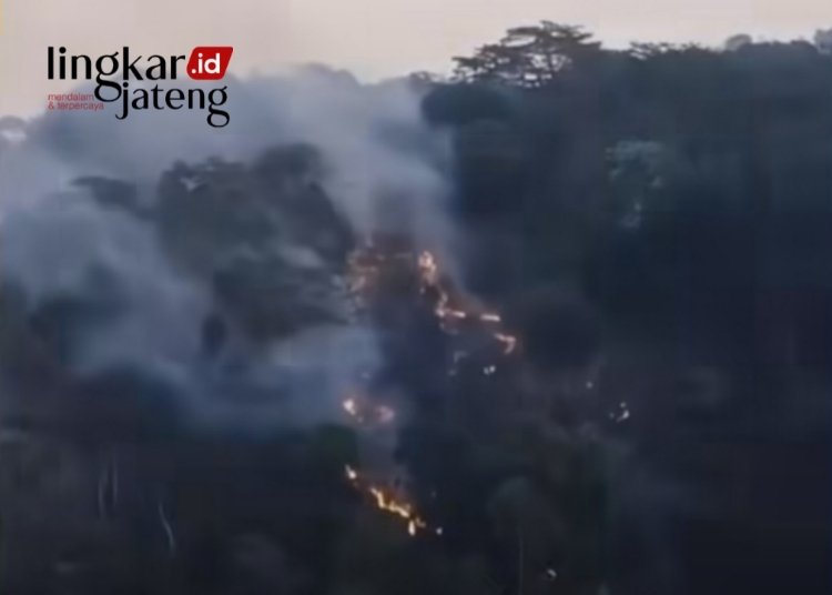 MEMBUMBUNG: Asap dari lahan yang terbakar di lereng Muria membumbung tinggi. (Tangkapan Layar Instagram Lingkarjate g.id/Lingkarjateng.id)