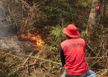 PEMADAMAN MANUAL: Relawan melakukan pemadaman api secara manual di beberapa titik di wilayah Desa Tajuk, yang mengalami kebakaran di hutan Gunung Merbabu. (Hesty Imaniar/Lingkarjateng.id)