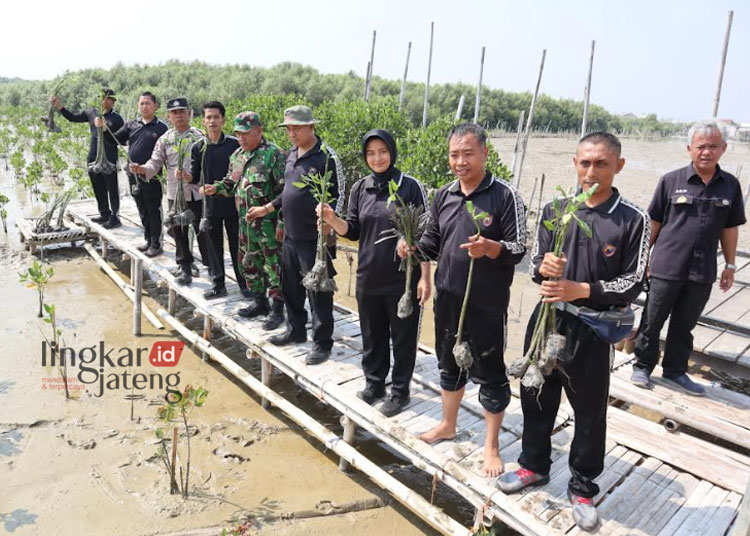 PELESTARIAN LINGKUNGAN: Humas Polres Demak melakukan penanaman mangrove di Desa Bedono Kecamatan Sayung, Kabupaten Demak, Jumat, 13 Oktober 2023. (M. Burhanuddin Aslam/Lingkarjateng.id)