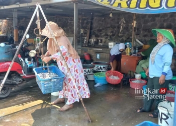 Tangkapan Nelayan Kendal Berkurang, Harga Ikan Melambung 26 MENIMBANG: Salah seorang pedagang menimbang ikan di Pasar Ikan Desa Gempolsewu, Kecamatan Rowosari, Kabupaten Kendal. (Arvian Maulana/Lingkarjateng.id)