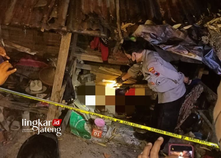 OLAH TKP: Petugas kepolisian meninjau lokasi penemuan mayat di gubuk Desa Bermi Kecamatan Gembong Kabupaten Pati pada Kamis, 12 Oktober 2023. (Dok. Polsek Gembong/Lingkarjateng.id)