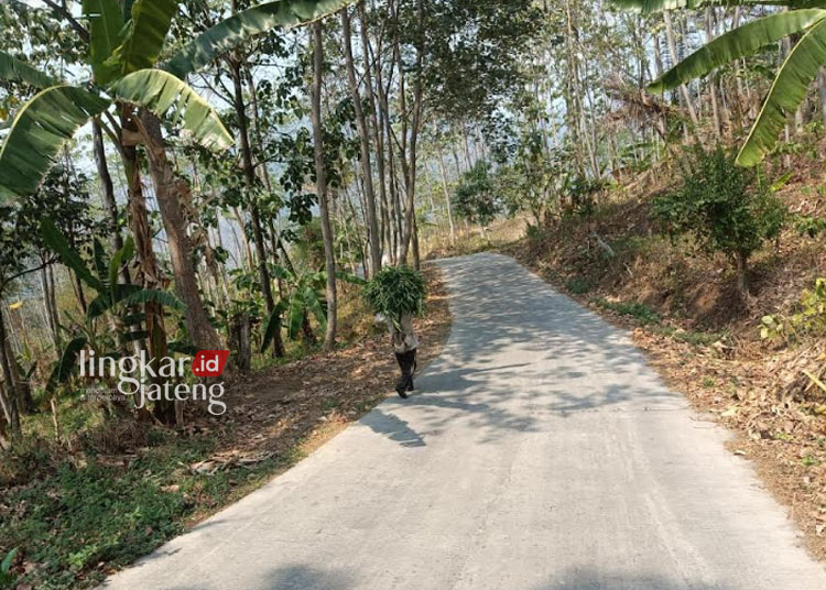 POTRET: Akses jalan Desa Cening-Kedungboto, Kabupaten Kendal yang sudah dilakukan perbaikan. (Dok. Pribadi/Lingkarjateng.id)