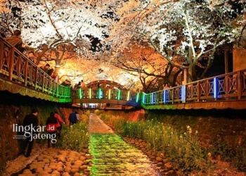 INDAH: Yeojwacheon Starlight Festival. (Official website visitkorea.or.id/Lingkarjateng.id)