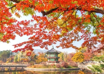 MUSIM GUGUR: keindahan Gyeongbukgung Palace di Korea Selatan. (tawatchai07 from Freepik/Lingkarjateng.id)