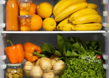 ILUSTRASI: Sayur dan buah yang disimpan di dalam kulkas. (Freepik/Lingkarjateng.id)