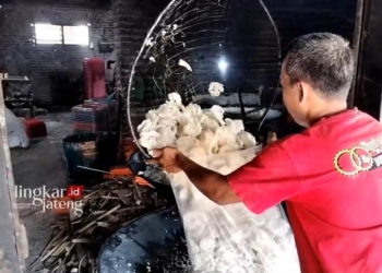 Cuaca Panas Percepat Proses Produksi Kerupuk di Kudus 26 MENGEMAS: Produsen mengemas kerupuk usai digoreng. (Ihza Fajar/Lingkarjateng.id)