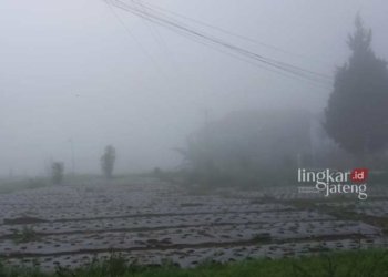 BERKABUT : Sejumlah wilayah yang masuk di Desa Batur, Kecamatan Getasan, Kabupaten Semarang, termasuk jalur pendakian Gunung Merbabu via Thekelan tertutup kabut tebal. (Hesty Imaniar/Lingkarjateng.id)