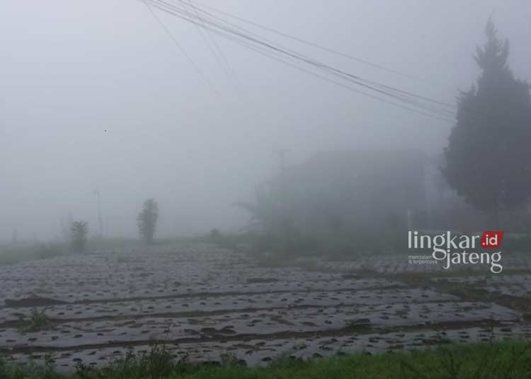 Jalur Pendakian Gunung Merbabu Via Thekelan Tutup Usai Banjir Bandang ...