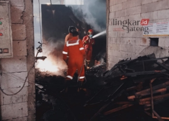 BERJIBAKU: Petugas pemadam kebakaran dari Dinas Satpol PP dan Damkar (Poldam) Kabupaten Semarang berjibaku memadamkan api di Pabrik Briket CV Prime Diva Patemon. (Dinas Satpol PP dan Damkar Kabupaten Semarang for Lingkar/Lingkarjateng.id)