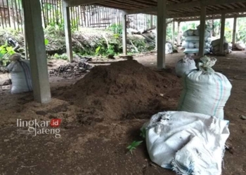 PENGELOLAAN SAMPAH: Sampah organik yang diolah menjadi pupuk kompos di Desa Gondang, Kecamatan Limbangan, Kabupaten Kendal. (Dok. DLH Kendal for Lingkar/Lingkarjateng.id)
