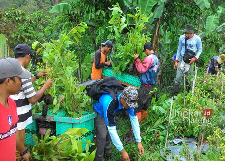 Proklim Bumi Lestari Kendal Gandeng Pentahelix Kurangi Dampak Perubahan Iklim