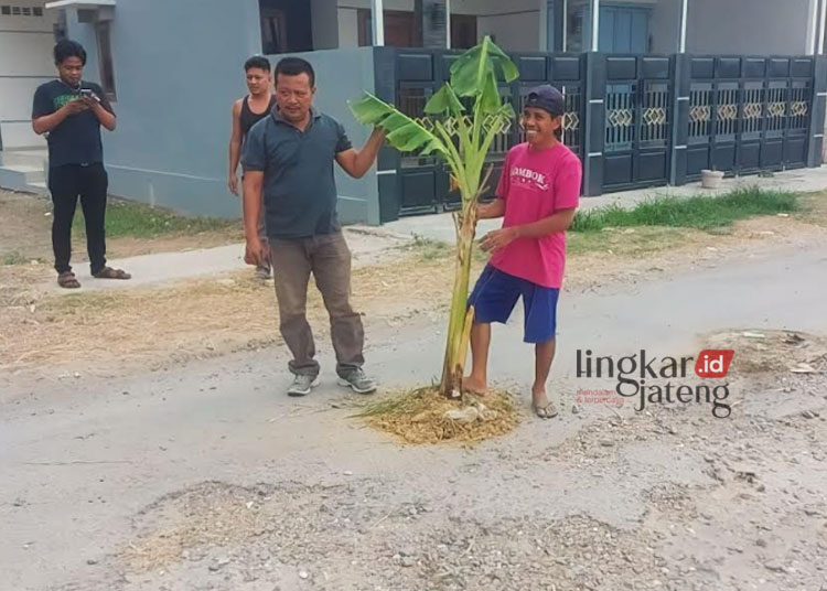 BENTUK PROTES: Warga Desa Kedungrejo, Kecamatan/Kabupaten Rembang melakukan aksi menanam pohon di tengah jalan rusak. (R.Teguh Wibowo/Lingkarjateng.id)