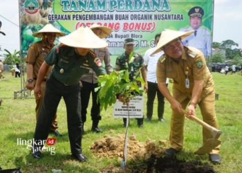 Bupati Arief Launching Gerbang Bonus, Jadikan Blora Basis Kawasan Buah Organik 32 MENANAM: Bupati Blora Arief Rohman menanam pohon buah sekaligus launching program Gerakan Pengembangan Buah Organik Nusantara. (Dok. Humas Pemkab Blora/Lingkarjateng.id)