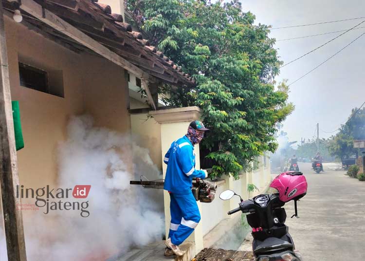 Fogging Dinilai Sangat Tak Efektif Masyarakat Diimbau Galakkan PSN Berantas DBD di Pati