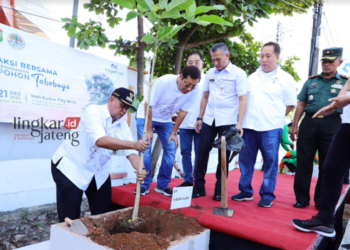 JAGA LINGKUNGAN: Pj Bupati Kudus Bergas Catursasi Penanggungan menanam pohon tabebuya di pinggir Jalan AKBP Agil Kusumadya, Kudus, Kamis, 21 Desember 2023. (Ihza Fajar/Lingkarjateng.id)