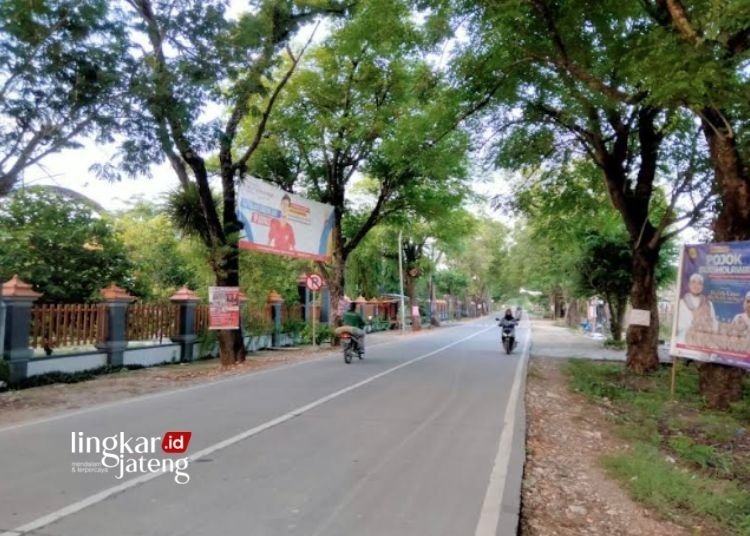 Anggaran Terbatas, Dinrumkimhub Blora Akui 40 Persen Jalan belum Dipasang PJU 25 POTRET: Jalur Randublatung-Blora yang belum dipasang penerangan jalan umum. (Hanafi/Lingkarjateng.id)