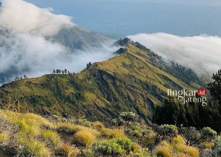 Gunung Rinjani yang terletak di Pulau Lombok, Nusa Tenggara Barat. (Instagram @gunungrinjani.id/Lingkarjateng.id)