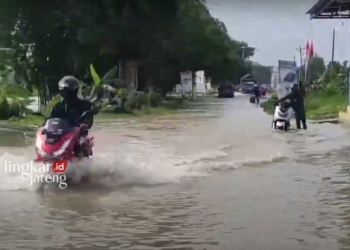 MENEROBOS: Beberapa pengendara motor nekat menerobos genangan air di Jalan Raya Godong-Juwangi, Desa Mojoagung, Kecamatan Karangrayung, Kabupaten Grobogan. (Ibnu Muntaha/Lingkarjateng.id)