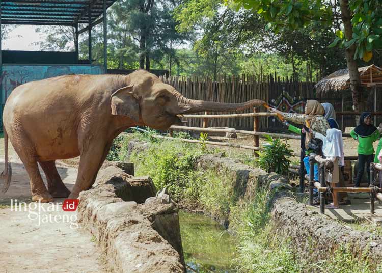 Dongkrak Kunjungan Wisatawan Sarana Objek Wisata Batang bakal Diperbaiki