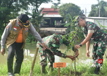 Dandim 0716/Demak Letkol Kav Maryoto, saat melakukan penanaman bibit pohon di bantaran sungai Desa Mranak, Kamis, 18 Januari 2024. (M Burhanudin Aslam/Lingkatjateng.id)